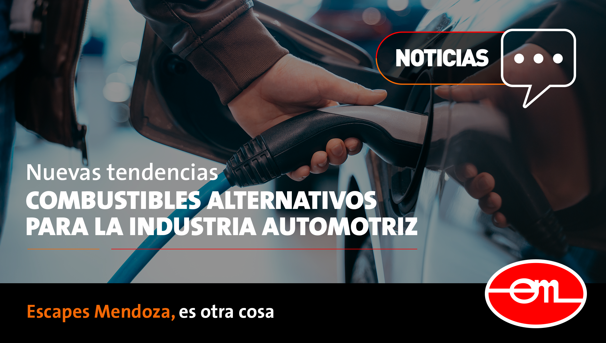 combustibles alternativos