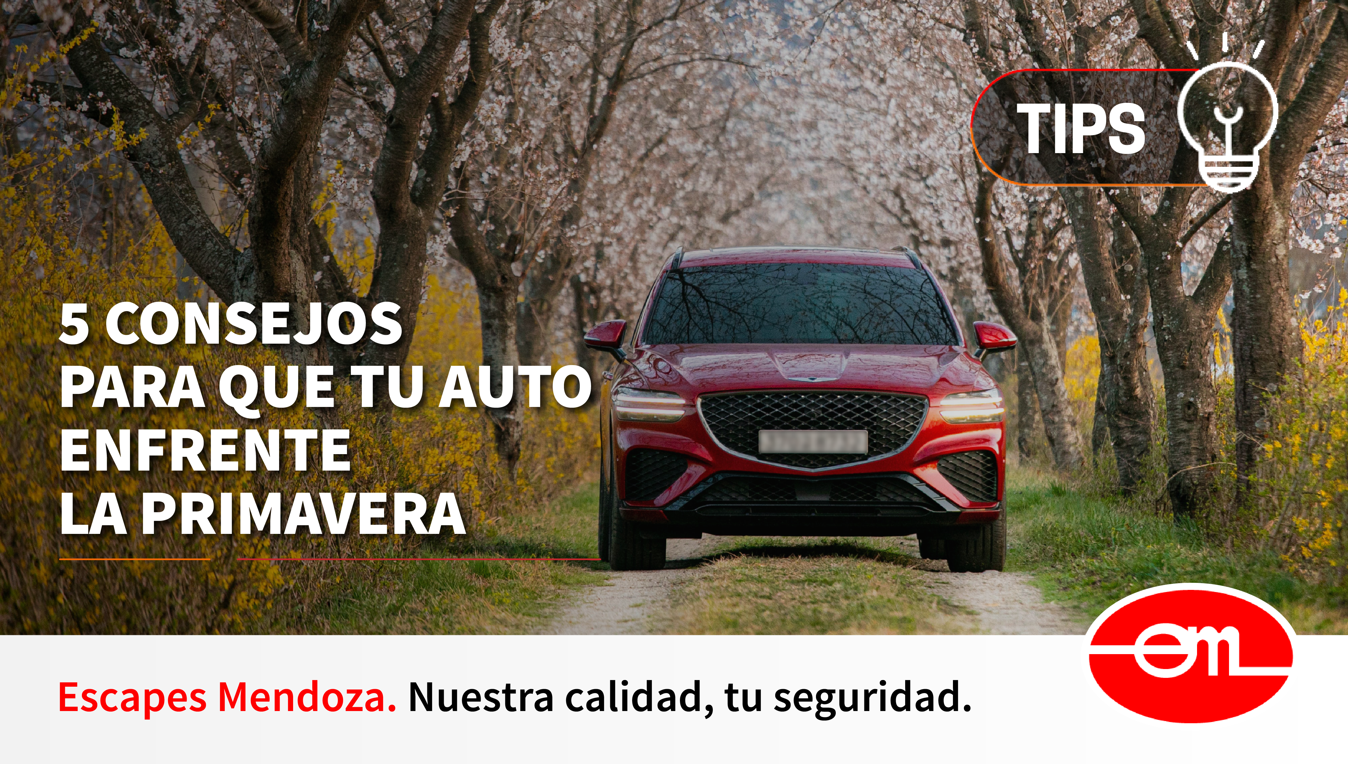 5 Consejos para que tu auto enfrente la primavera