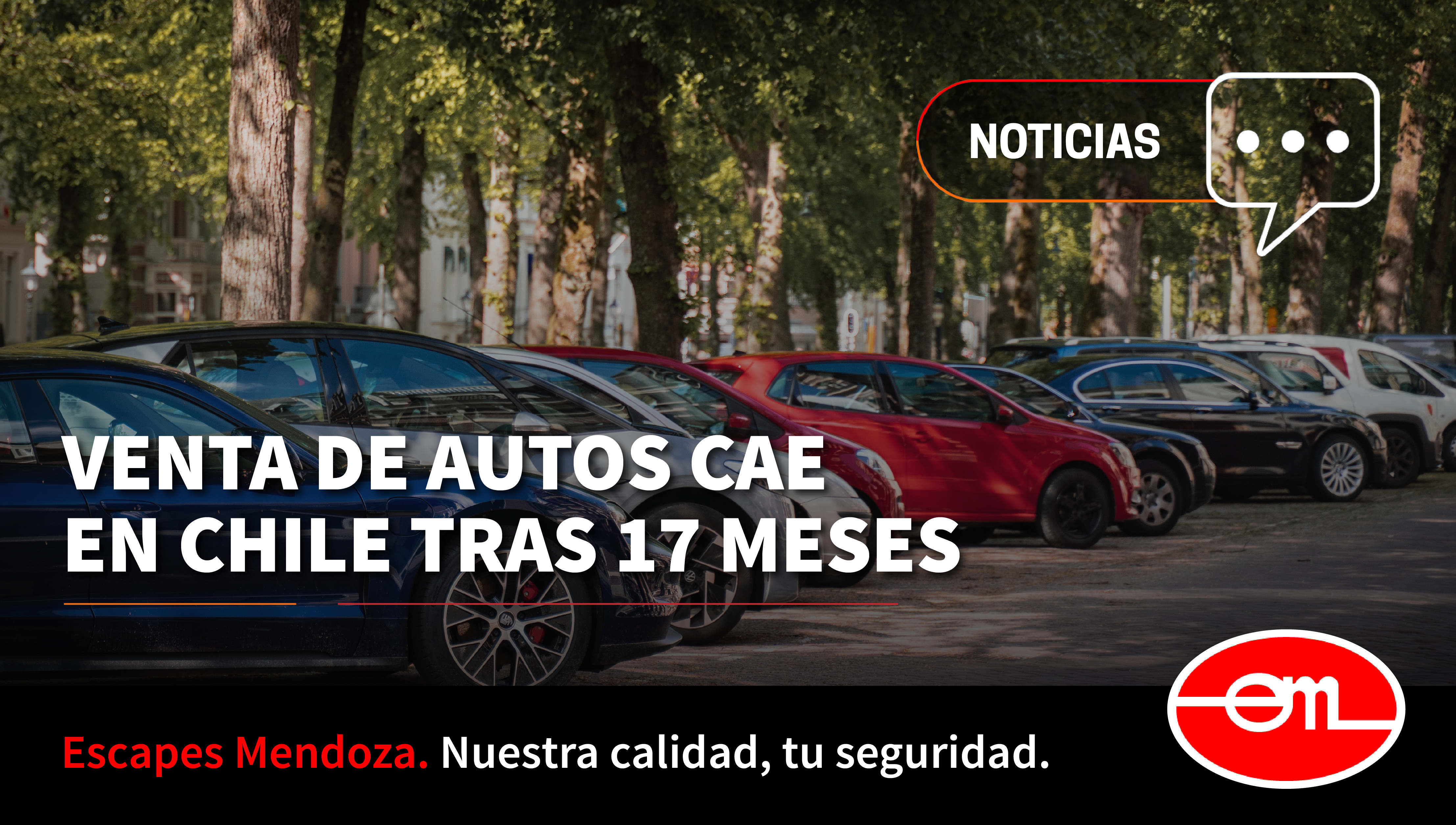 dar a conocer que la venta de autos cayó 17%