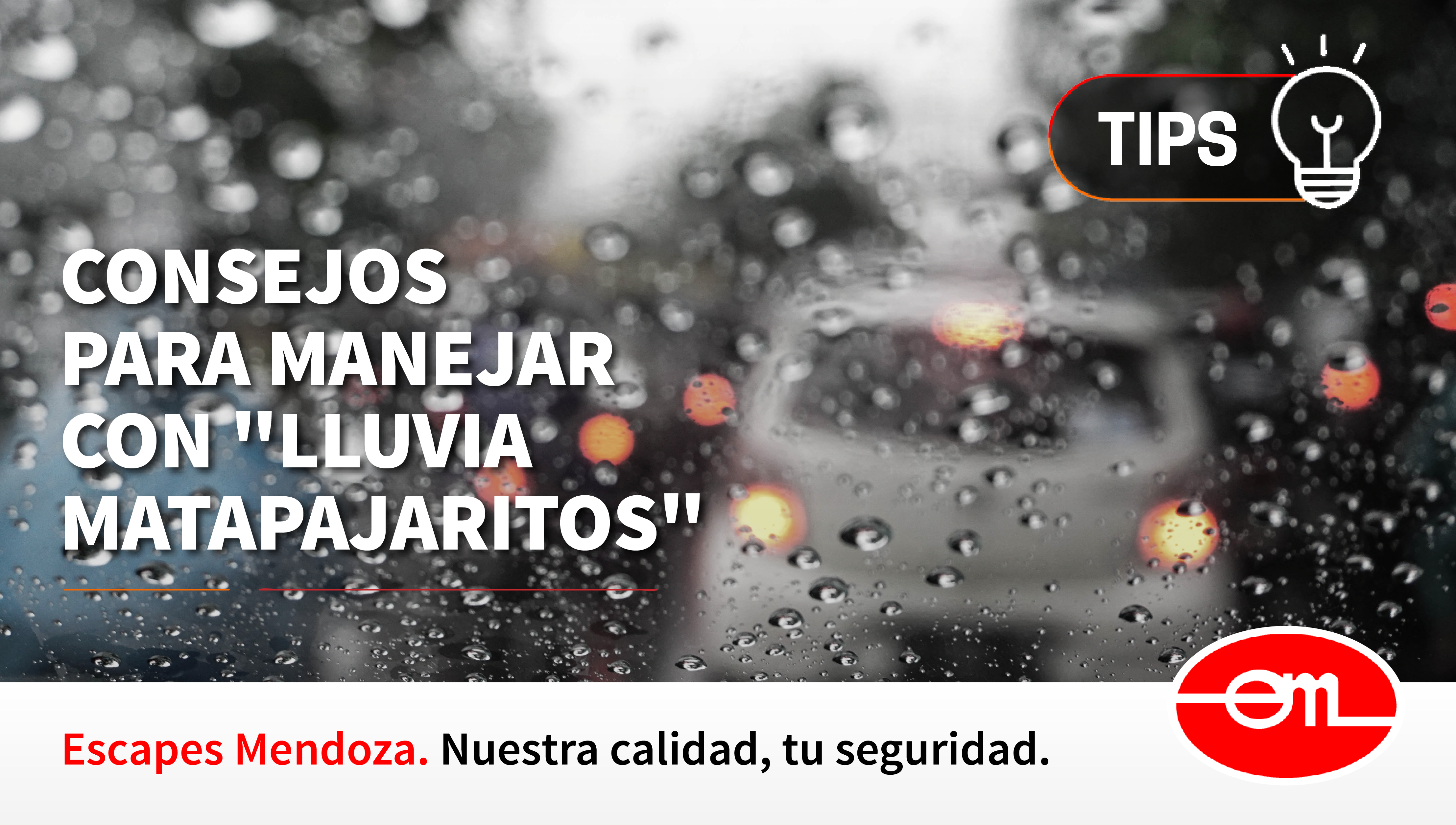 consejos para manejar con lluvia mata pajaritos