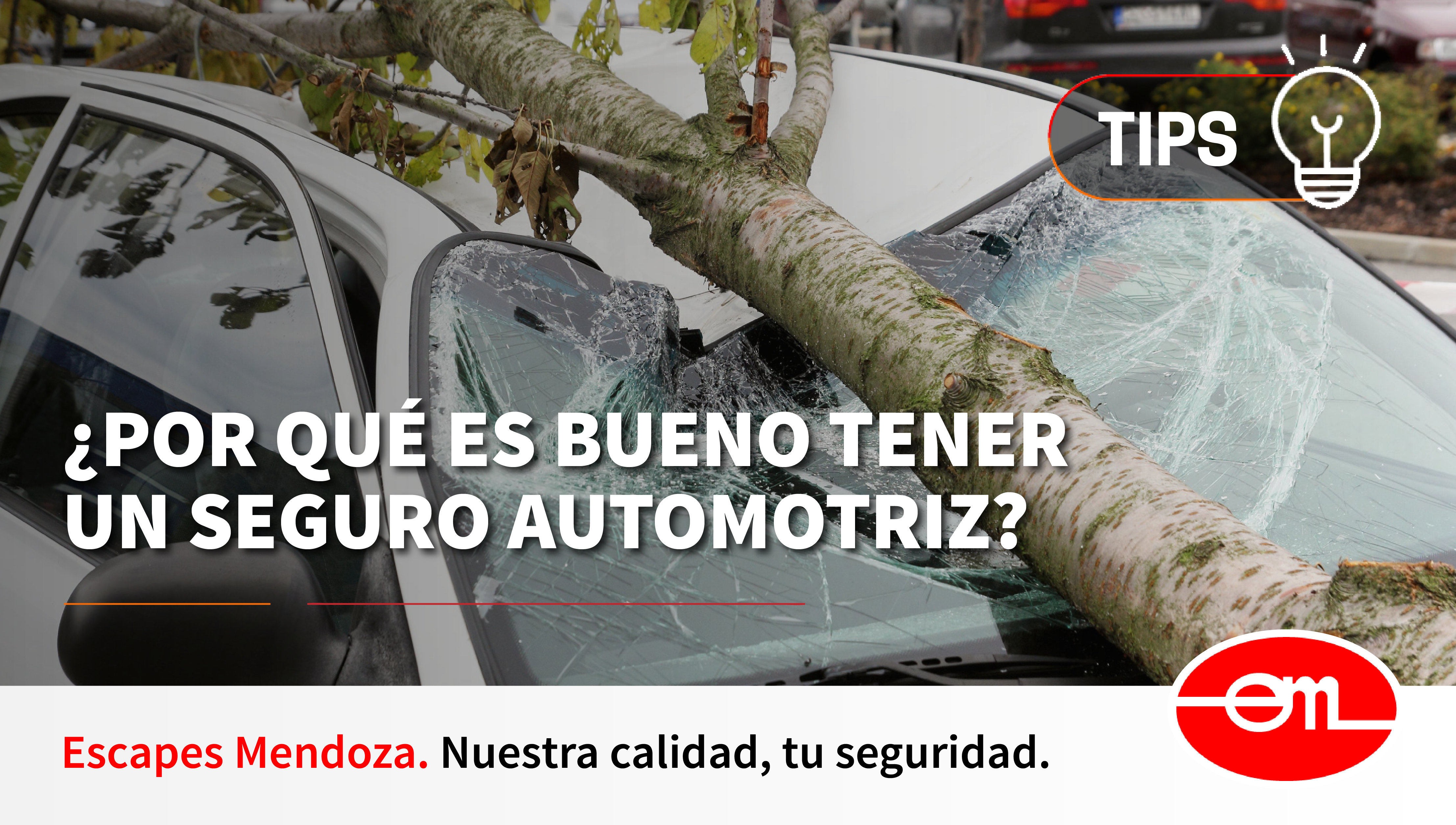 ¿Sabes por qué es bueno tener un seguro automotriz?