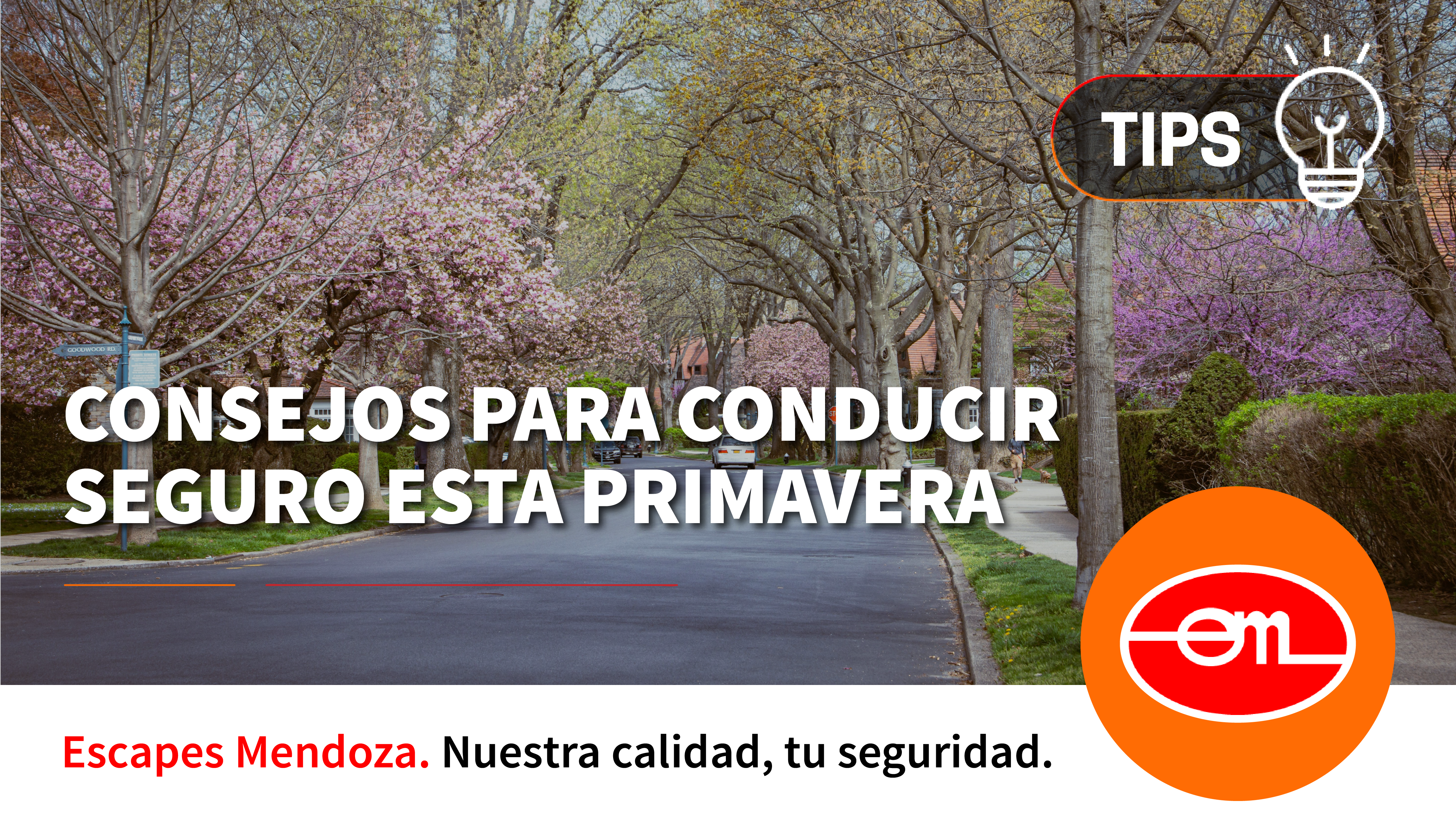 conducir en primavera 2024