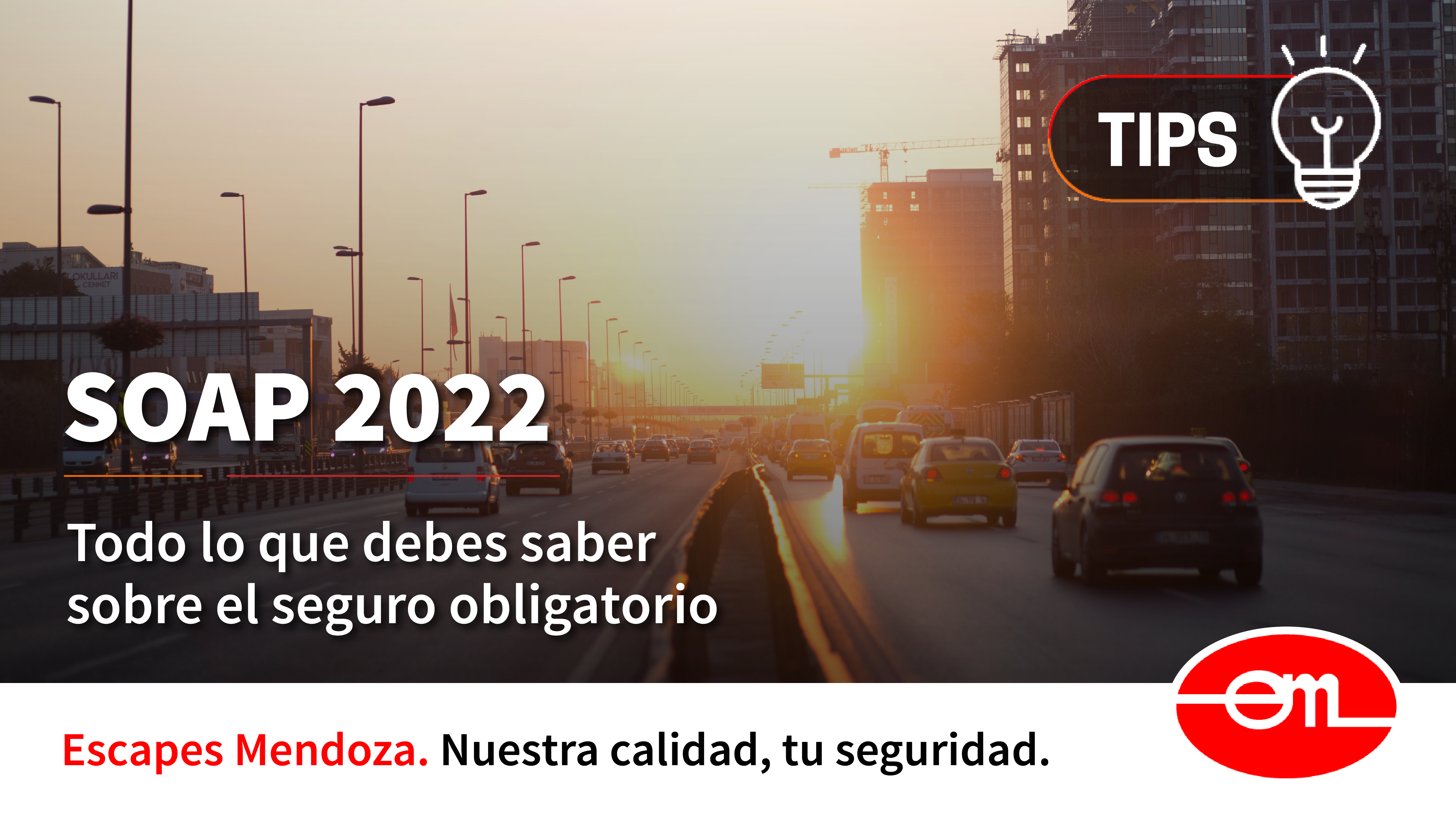 SOAP 2022 Seguro Obligatorio