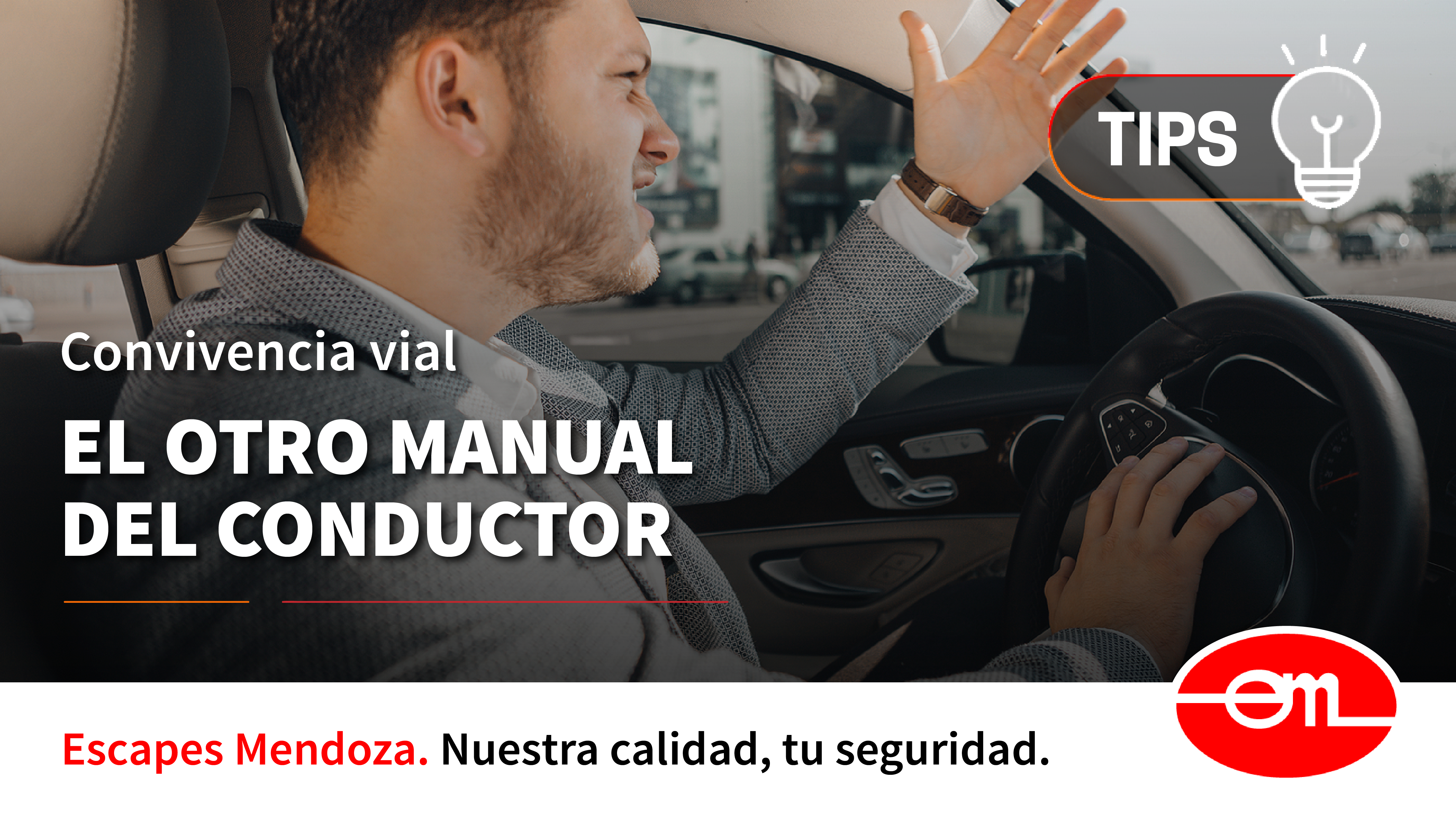 manual del conductor para la convivencia vial