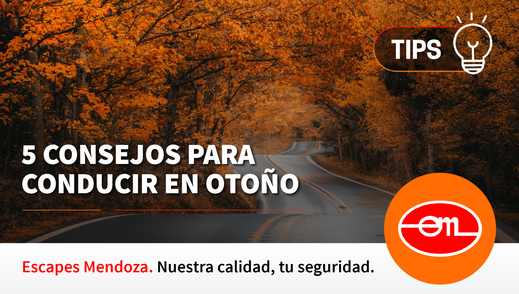 consejos para conducir en otoño